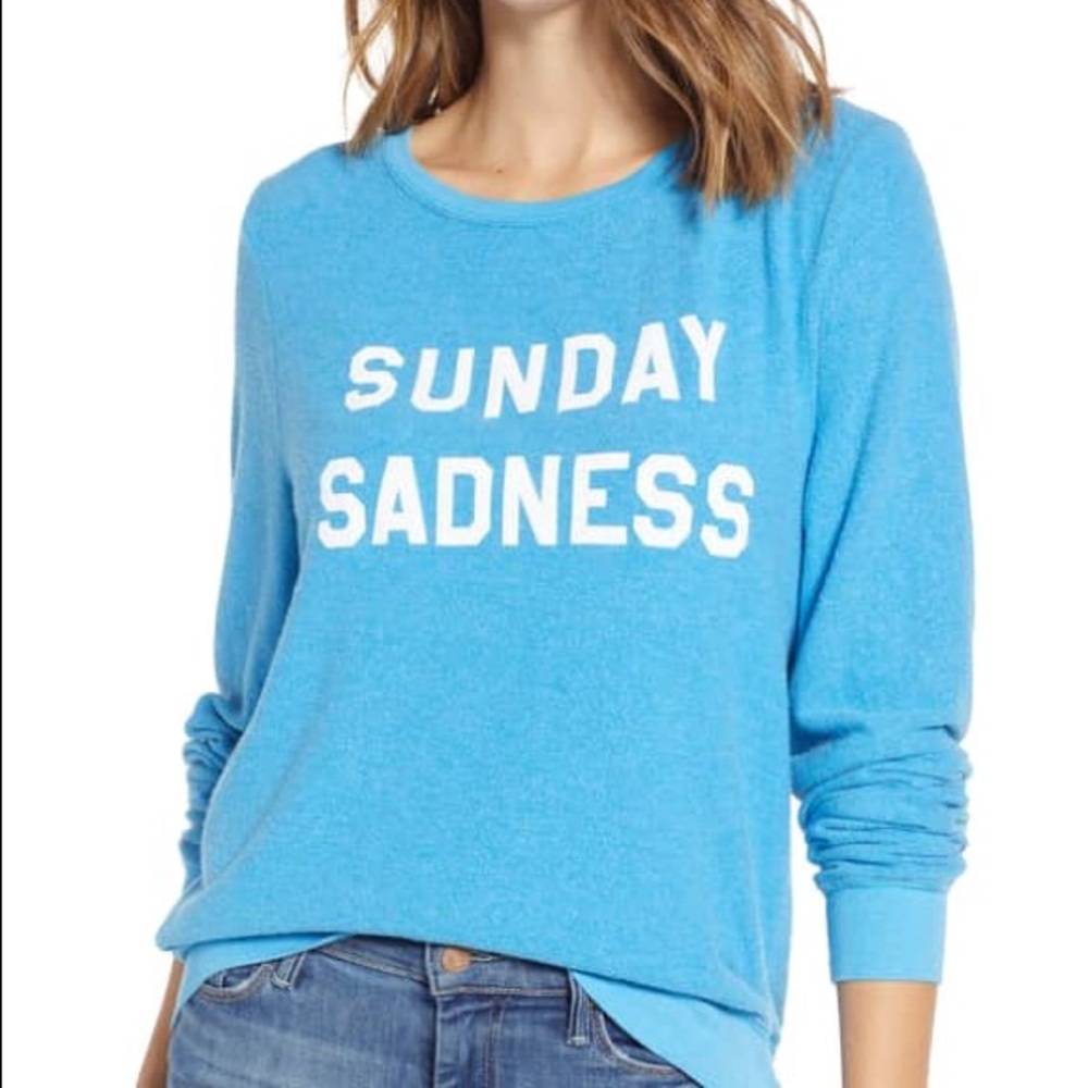 NWT Wildfox Sweater